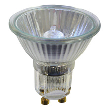 Other Bulbs