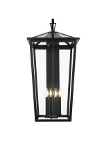 Elegant OD334W33BK - Frankford 16 inch Outdoor Wall sconce in Black